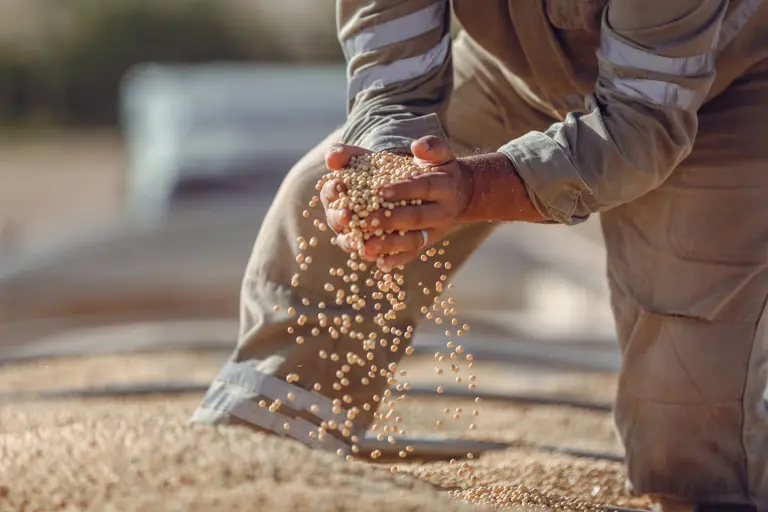 Agricultural Commodities Trading